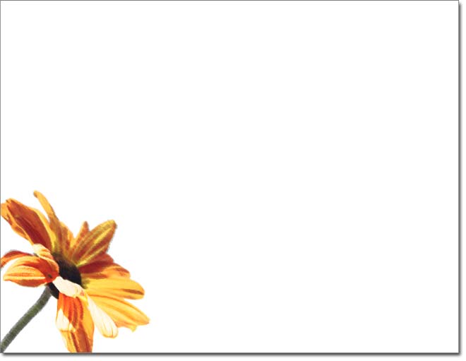 digitalon home page